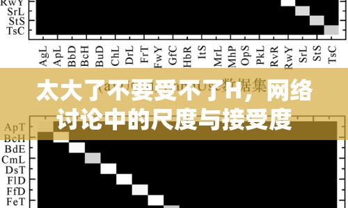 太大了不要受不了H，網(wǎng)絡討論中的尺度與接受度
