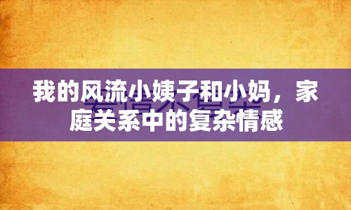 我的風(fēng)流小姨子和小媽，家庭關(guān)系中的復(fù)雜情感