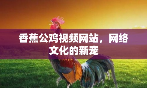 香蕉公雞視頻網(wǎng)站，網(wǎng)絡(luò)文化的新寵