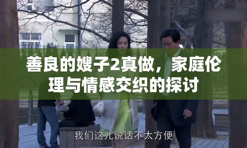 善良的嫂子2真做，家庭倫理與情感交織的探討
