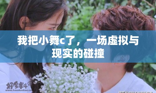 我把小舞c了，一場虛擬與現(xiàn)實的碰撞