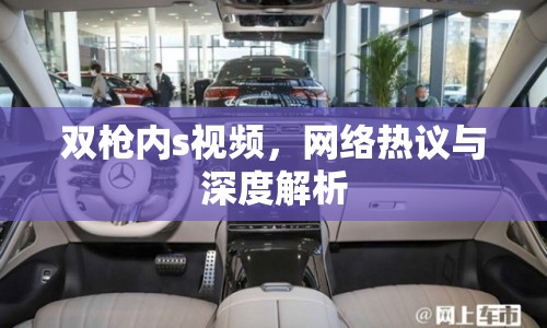 雙槍內(nèi)s視頻，網(wǎng)絡熱議與深度解析