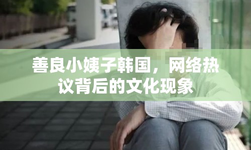 善良小姨子韓國(guó)，網(wǎng)絡(luò)熱議背后的文化現(xiàn)象