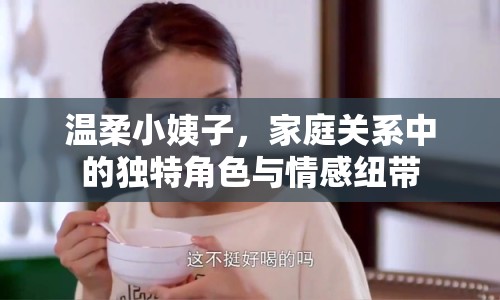 溫柔小姨子，家庭關(guān)系中的獨特角色與情感紐帶
