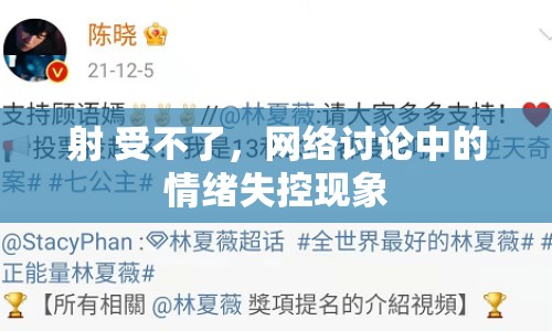 射 受不了，網(wǎng)絡討論中的情緒失控現(xiàn)象