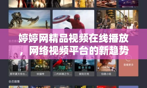 婷婷網(wǎng)精品視頻在線播放，網(wǎng)絡(luò)視頻平臺(tái)的新趨勢(shì)