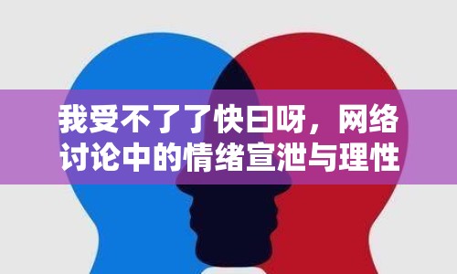 我受不了了快曰呀，網(wǎng)絡(luò)討論中的情緒宣泄與理性思考