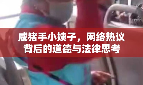 咸豬手小姨子，網(wǎng)絡(luò)熱議背后的道德與法律思考