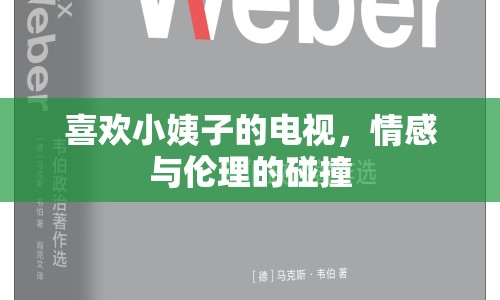 喜歡小姨子的電視，情感與倫理的碰撞