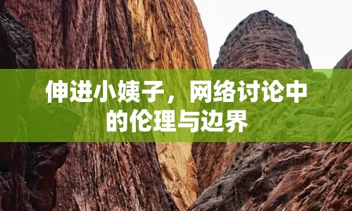 伸進(jìn)小姨子，網(wǎng)絡(luò)討論中的倫理與邊界