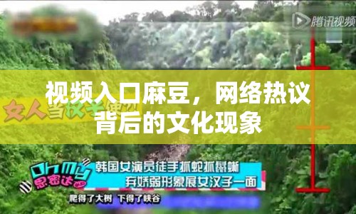 視頻入口麻豆，網(wǎng)絡熱議背后的文化現(xiàn)象