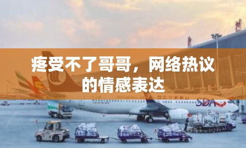 疼受不了哥哥，網(wǎng)絡(luò)熱議的情感表達