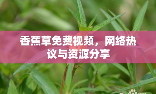 香蕉草免費(fèi)視頻，網(wǎng)絡(luò)熱議與資源分享
