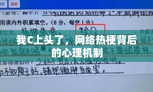 我C上頭了，網(wǎng)絡(luò)熱梗背后的心理機制