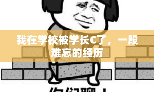 我在學(xué)校被學(xué)長C了，一段難忘的經(jīng)歷