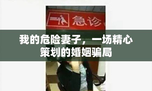 我的危險妻子，一場精心策劃的婚姻騙局