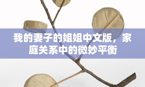我的妻子的姐姐中文版，家庭關(guān)系中的微妙平衡