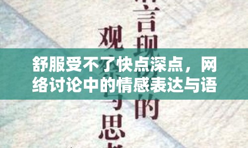 舒服受不了快點(diǎn)深點(diǎn)，網(wǎng)絡(luò)討論中的情感表達(dá)與語言現(xiàn)象