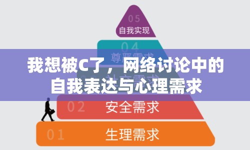 我想被C了，網(wǎng)絡(luò)討論中的自我表達(dá)與心理需求