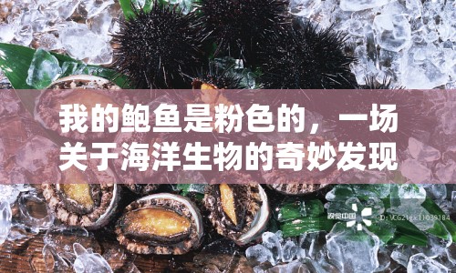 我的鮑魚是粉色的，一場關(guān)于海洋生物的奇妙發(fā)現(xiàn)