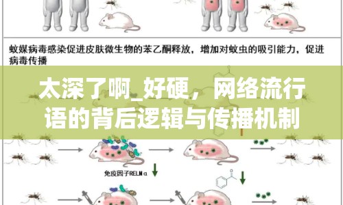 太深了啊_好硬，網絡流行語的背后邏輯與傳播機制