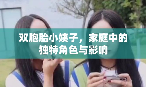 雙胞胎小姨子，家庭中的獨(dú)特角色與影響