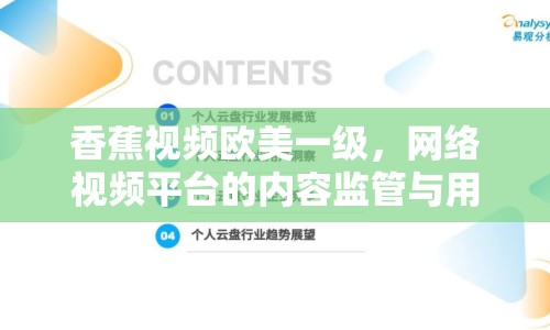 香蕉視頻歐美一級(jí)，網(wǎng)絡(luò)視頻平臺(tái)的內(nèi)容監(jiān)管與用戶需求