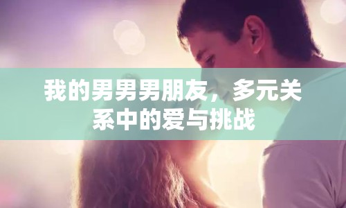 我的男男男朋友，多元關(guān)系中的愛與挑戰(zhàn)
