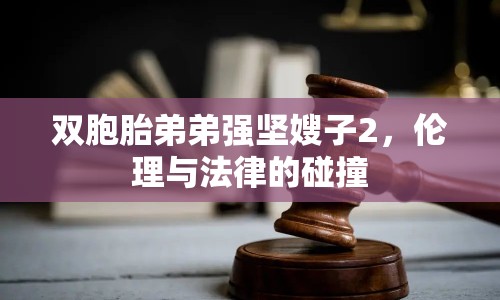 雙胞胎弟弟強(qiáng)堅嫂子2，倫理與法律的碰撞