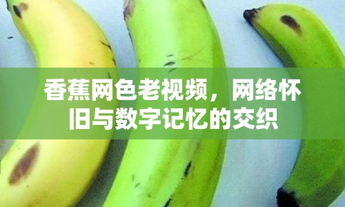 香蕉網(wǎng)色老視頻，網(wǎng)絡(luò)懷舊與數(shù)字記憶的交織