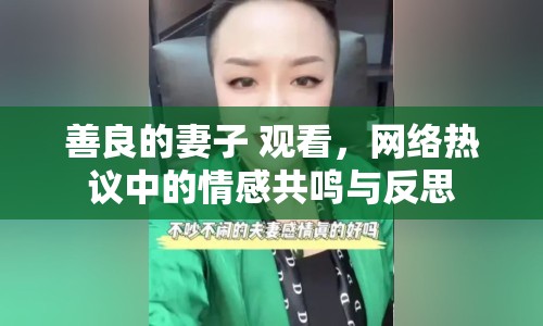 善良的妻子 觀看，網(wǎng)絡(luò)熱議中的情感共鳴與反思