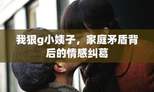 我狠g小姨子，家庭矛盾背后的情感糾葛