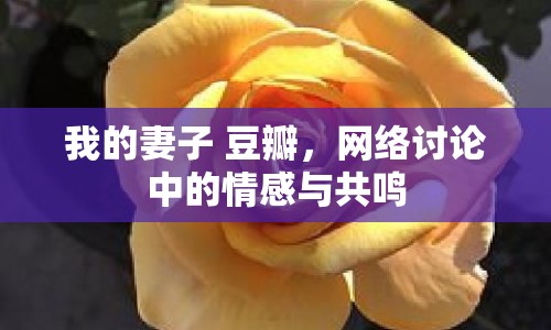 我的妻子 豆瓣，網(wǎng)絡(luò)討論中的情感與共鳴
