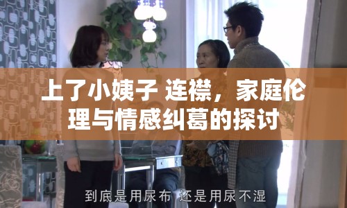 上了小姨子 連襟，家庭倫理與情感糾葛的探討