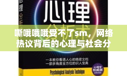 嘶哦哦哦受不了sm，網(wǎng)絡(luò)熱議背后的心理與社會(huì)分析