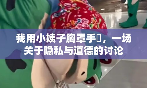我用小姨子胸罩手玪，一場(chǎng)關(guān)于隱私與道德的討論