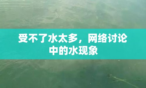 受不了水太多，網(wǎng)絡(luò)討論中的水現(xiàn)象