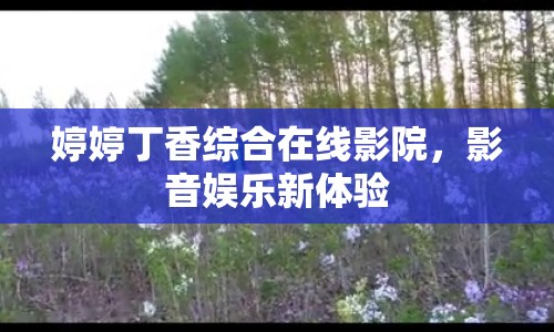 婷婷丁香綜合在線影院，影音娛樂新體驗