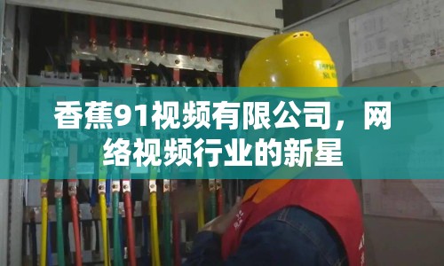 香蕉91視頻有限公司，網(wǎng)絡(luò)視頻行業(yè)的新星