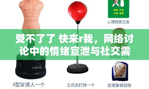 受不了了 快來r我，網(wǎng)絡(luò)討論中的情緒宣泄與社交需求