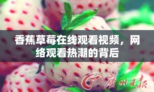香蕉草莓在線觀看視頻，網(wǎng)絡(luò)觀看熱潮的背后