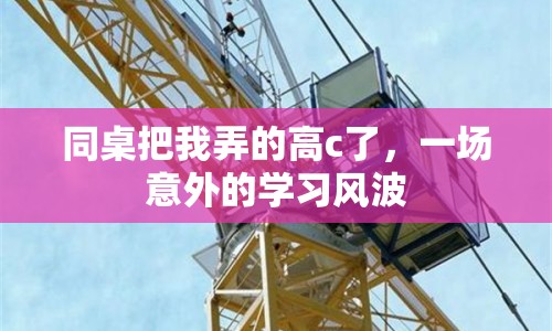 同桌把我弄的高c了，一場意外的學(xué)習(xí)風(fēng)波