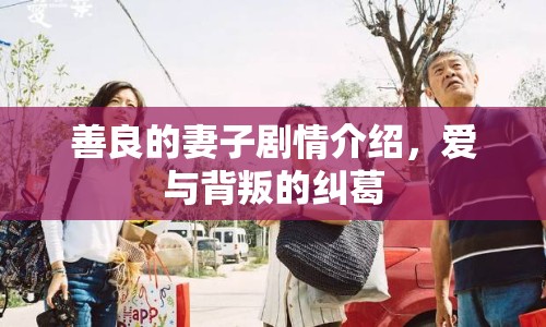 善良的妻子劇情介紹，愛與背叛的糾葛