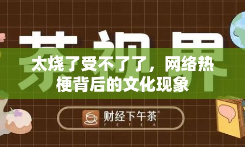太燒了受不了了，網(wǎng)絡(luò)熱梗背后的文化現(xiàn)象