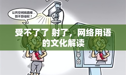 受不了了 射了，網(wǎng)絡(luò)用語的文化解讀