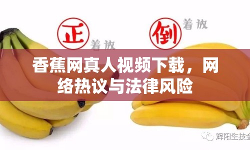 香蕉網(wǎng)真人視頻下載，網(wǎng)絡(luò)熱議與法律風(fēng)險(xiǎn)