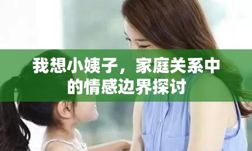 我想小姨子，家庭關(guān)系中的情感邊界探討