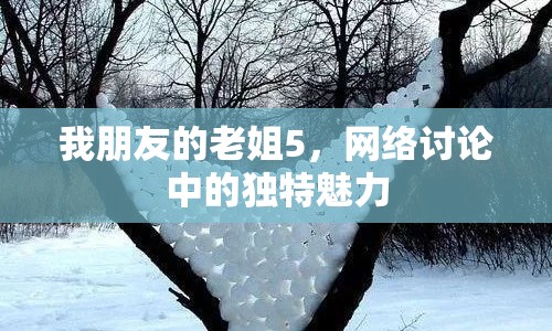 我朋友的老姐5，網(wǎng)絡(luò)討論中的獨(dú)特魅力
