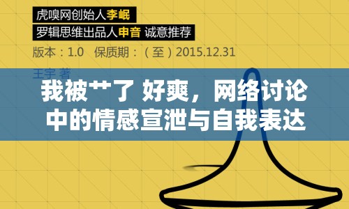 我被艸了 好爽，網(wǎng)絡(luò)討論中的情感宣泄與自我表達(dá)