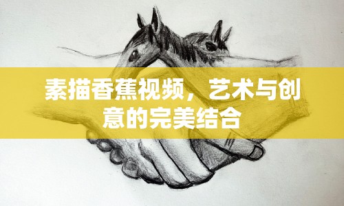 素描香蕉視頻，藝術(shù)與創(chuàng)意的完美結(jié)合